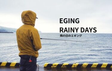 雨がエギングに与える影響とは？雨の日でもアオリイカが釣れる秘訣！