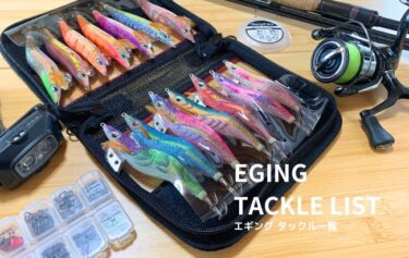 【エギング初心者必見】釣りに必要な道具23選！おすすめのタックル一覧と初期費用
