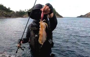 【入門】エギングとは？アオリイカの釣り方から基本的なタックルを解説！
