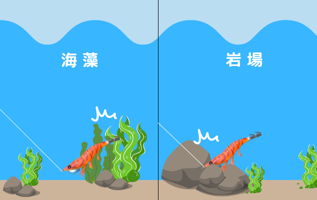 海中の藻場と岩場でエギが根掛かりするイメージ図