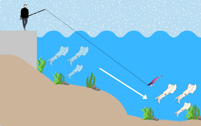 冬エギングのイラスト図　イカは暖かい深場に移動する
