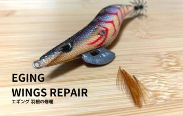 【画像解説】取れたエギの羽根を簡単修理！失敗しない修理方法を伝授！