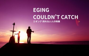 『エギングで釣れない人』の6つの特徴と改善策！初心者でもアオリイカは釣れる