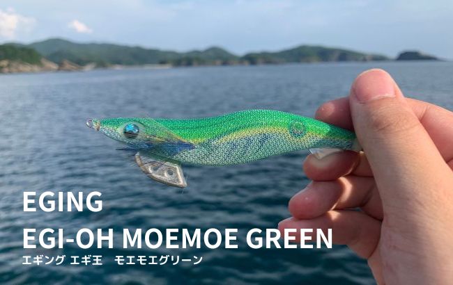 モエモエグリーンは藻場攻略に必須！ヤマシタのスレイカ対策エギ－釣猿 | TSURI-ZARU
