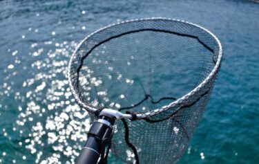 人気の釣り用タモ網はこれだ！選び方と厳選されたおすすめのランディングネット